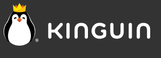 Logo Kinguin
